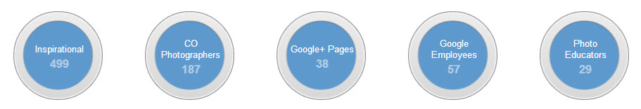 Google Plus Circles