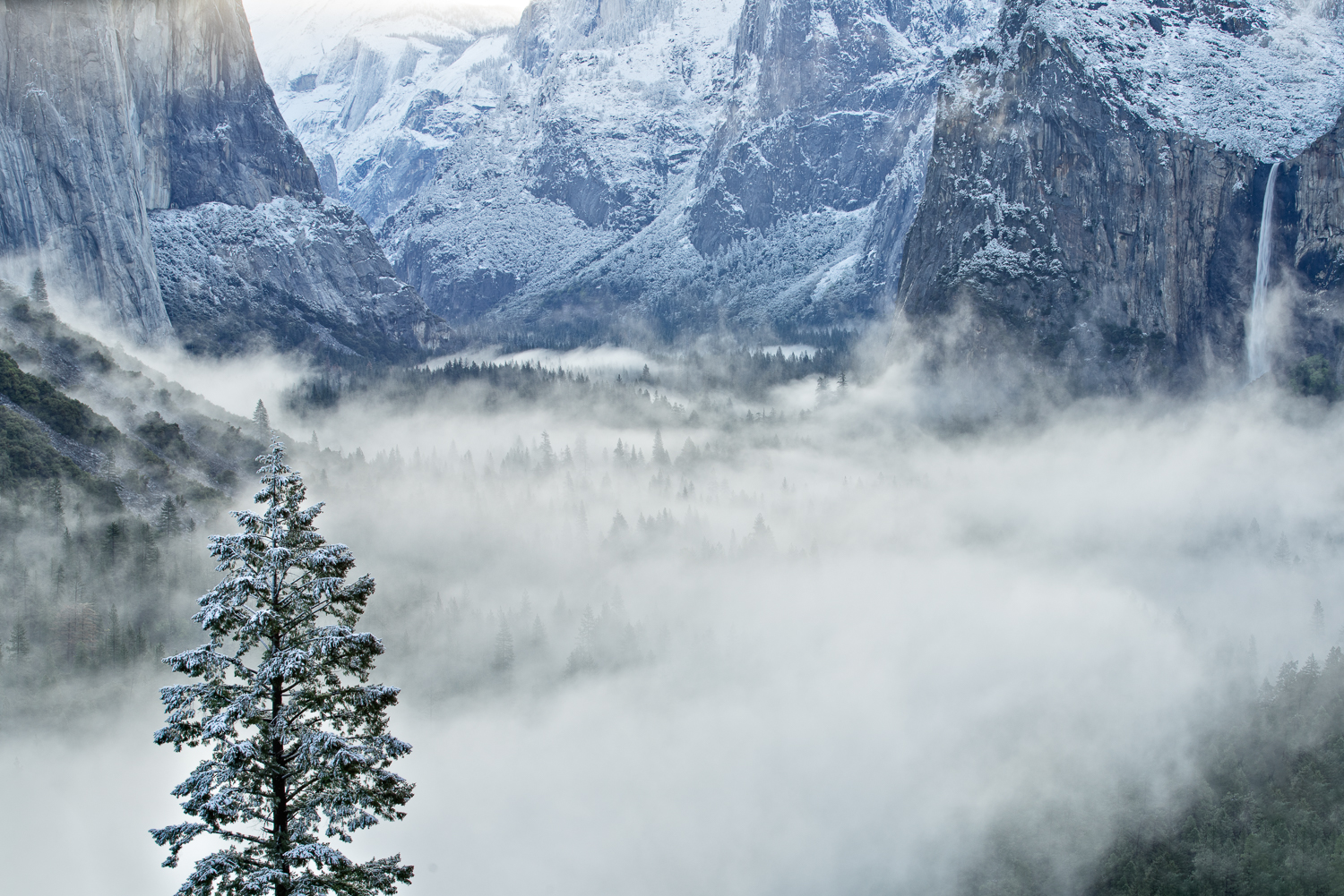A layer of fog fills Yosemite Valley after a recent snow storm