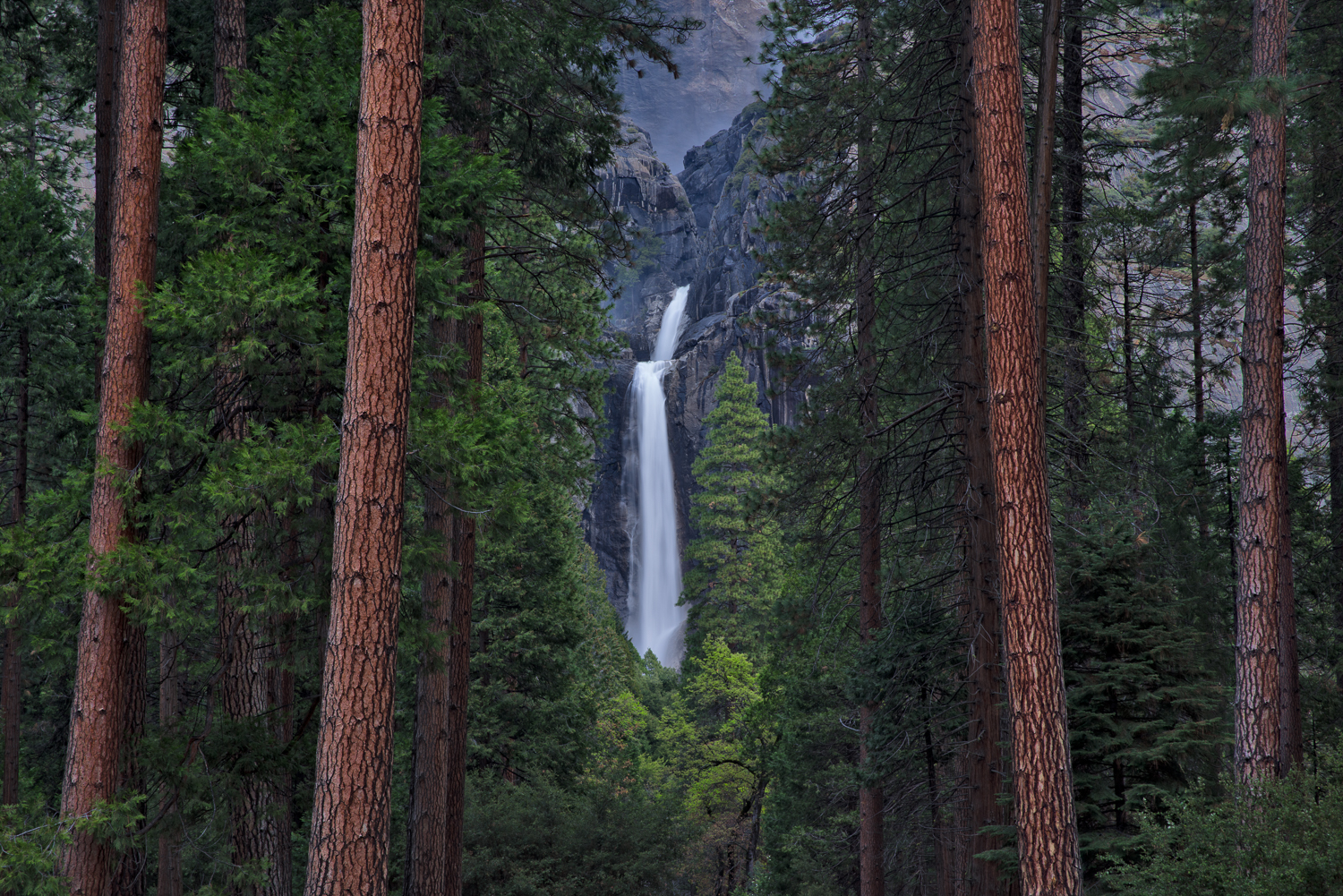 The view of Yosemite Falls through the Trees from the Yosemite Fall's Trail