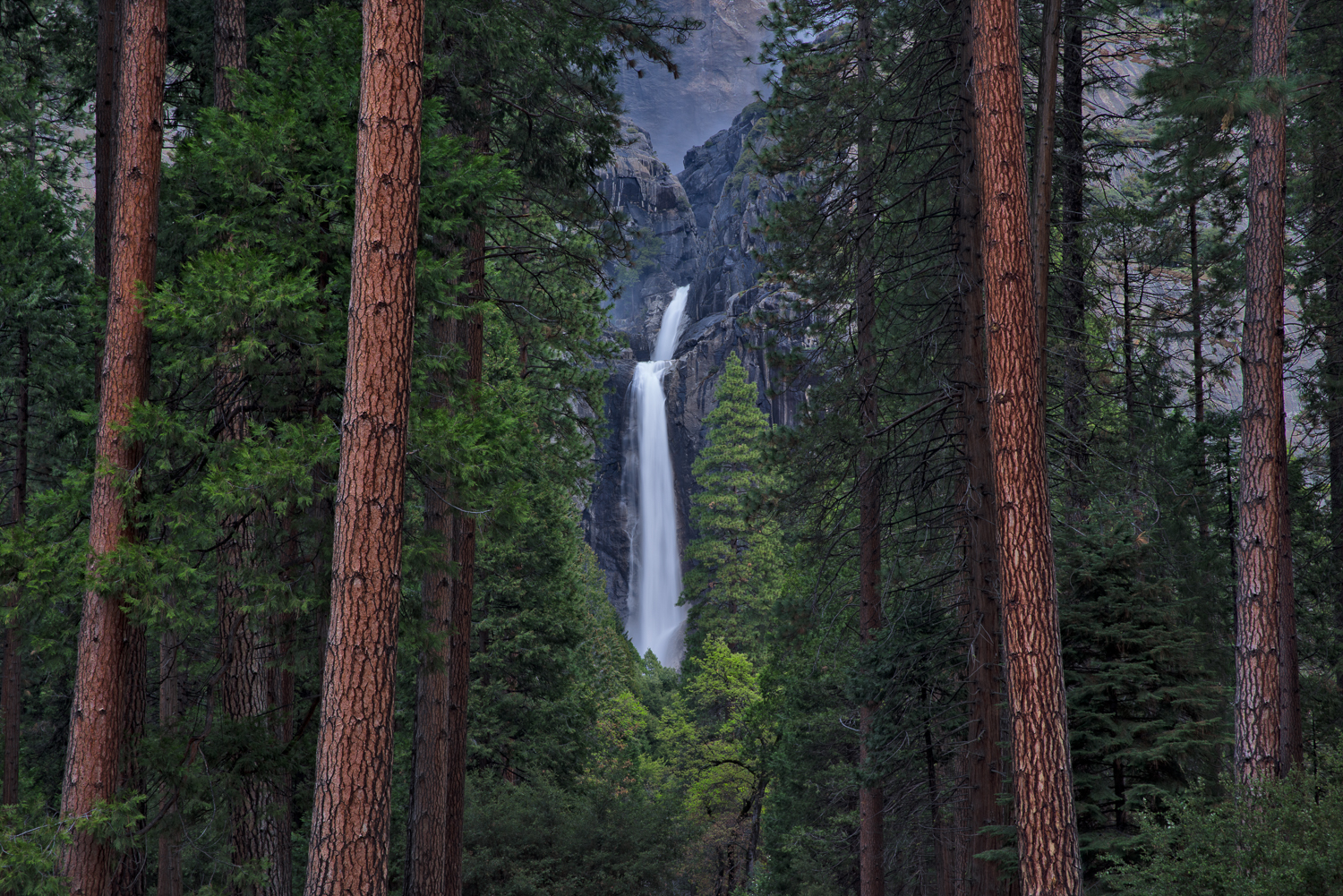 The view of Yosemite Falls through the Trees from the Yosemite Fall's Trail