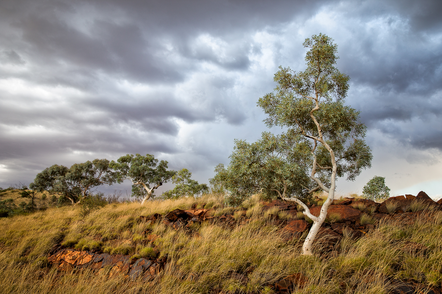 Brewing Storm in the Outback