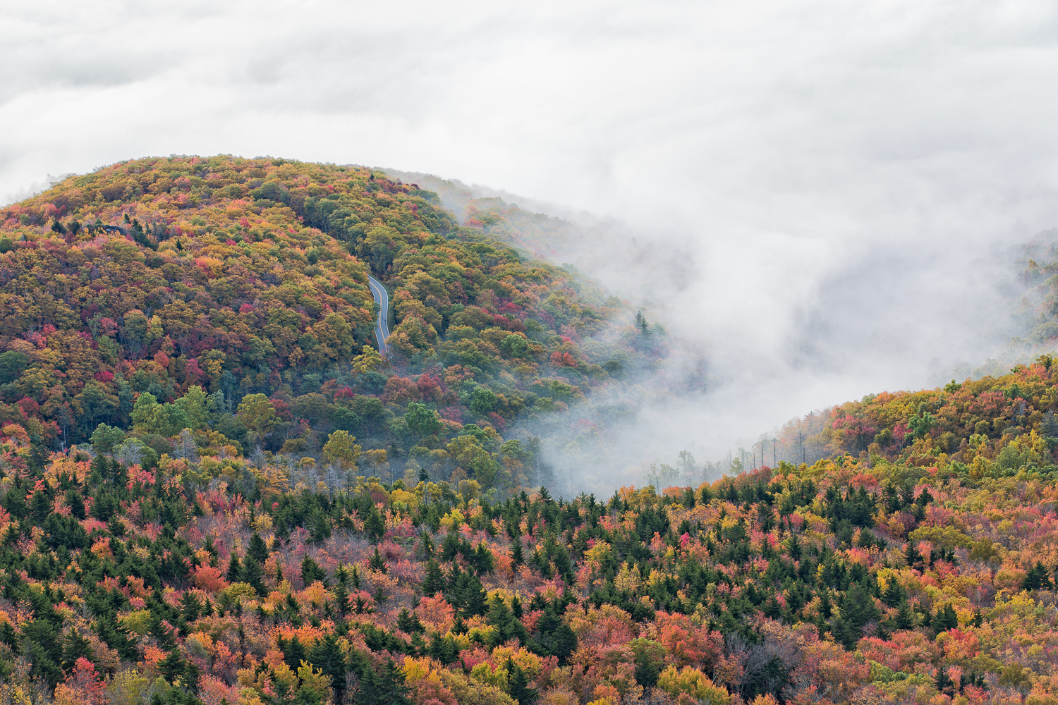 Grand_Father_Mountain_Blue_Ridge_Parkway_North_Carolina