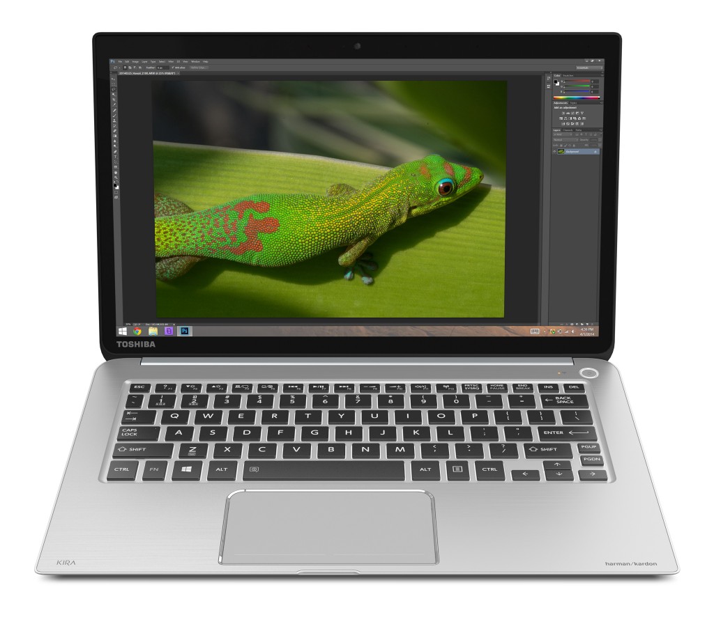 Toshiba-Hawaii-Gecko