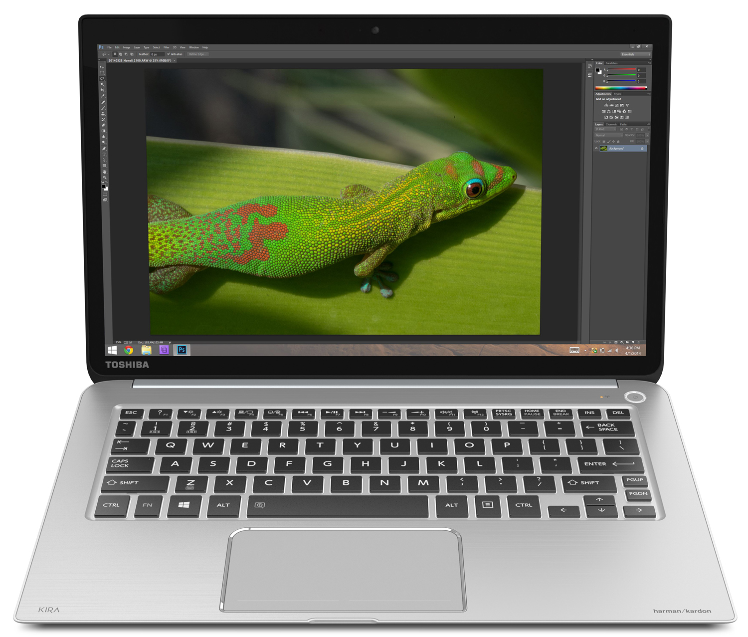 Toshiba Kirabook with one of my Gecko images from Hawaii