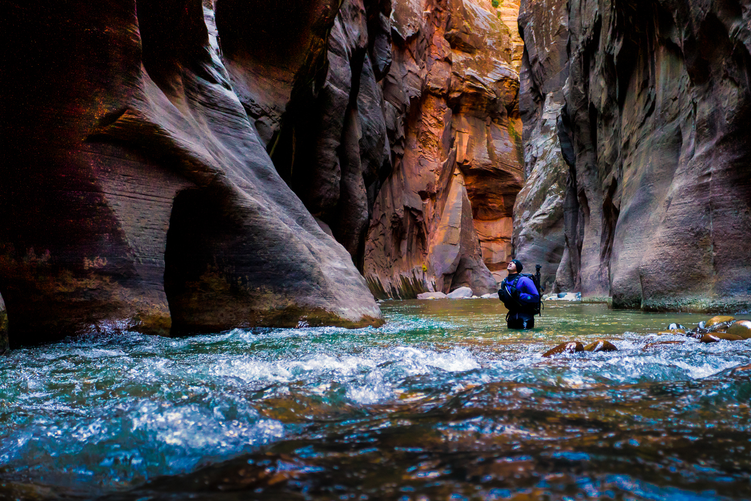 Zion_National_Park_Narrows_Colby_Brown