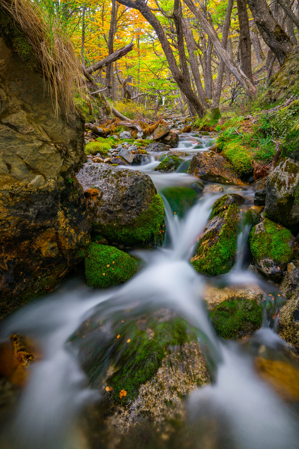 Fall_Color_Waterfall_Patagonia_Photo_Workshop_2