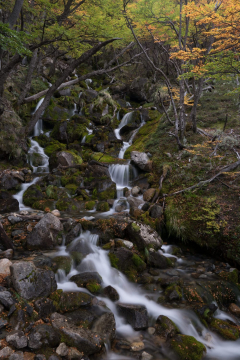 20160404_Argentina_Patagonia_1643