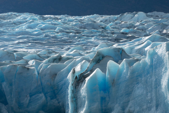 20160414_Chile_Patagonia_3640