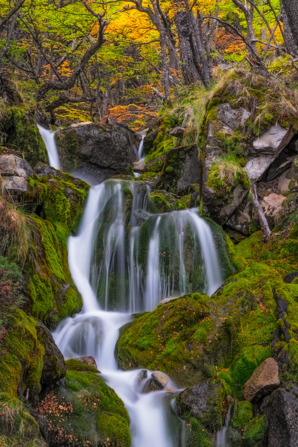 Patagonia_Waterfall_Fall_Colors_Los_Glaciares_Sony_A6300