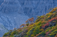 Fall_in_Patagonia_-Los_Glaciares_National_Park_Sony_a6300-1