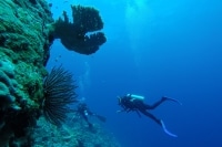 alone="yes"?>
<meta/><div id="ngg_data_strip_html_placehol</div>"/> alone="yes"?>
<meta/><div id="ngg_data_strip_html_placehol</div>"/>