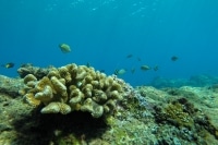 alone="yes"?>
<meta/><div id="ngg_data_strip_html_placehol</div>"/> alone="yes"?>
<meta/><div id="ngg_data_strip_html_placehol</div>"/>