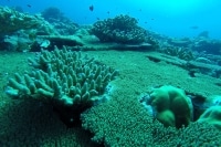 alone="yes"?>

<meta/><div id="ngg_data_strip_html_placehol</div>"/>