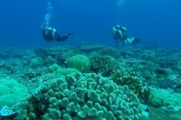 alone="yes"?>
<meta/><div id="ngg_data_strip_html_placehol</div>"/> alone="yes"?>
<meta/><div id="ngg_data_strip_html_placehol</div>"/>