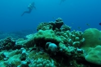 alone="yes"?>
<meta/><div id="ngg_data_strip_html_placehol</div>"/> alone="yes"?>
<meta/><div id="ngg_data_strip_html_placehol</div>"/>