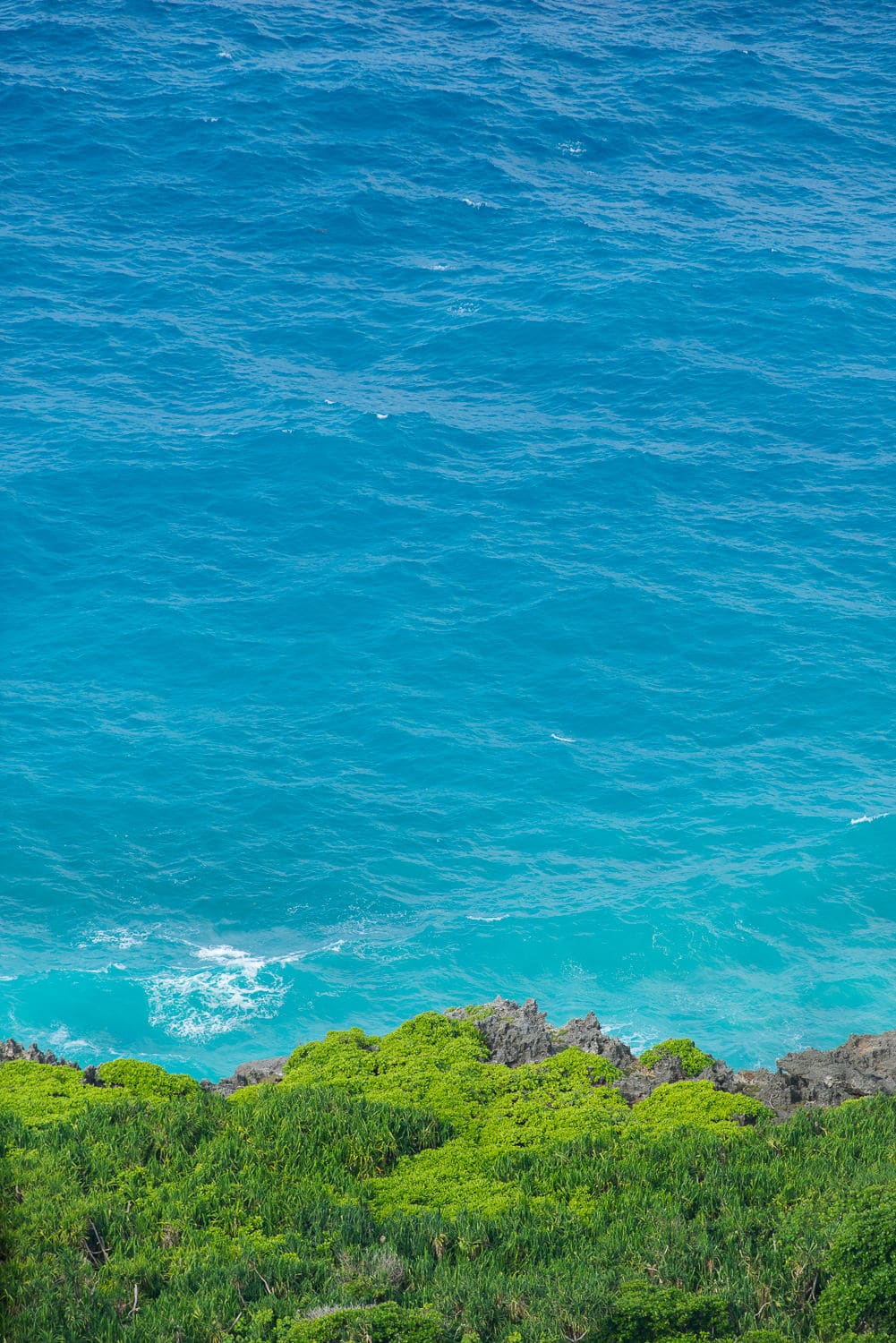 Tropical Waters Christmas Island.jpg
