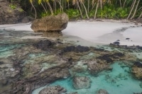 Dolly Beach Tidal Pools.jpg