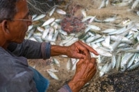 Cuban_Fisherman_Havana_Cuba_Photo_Workshop