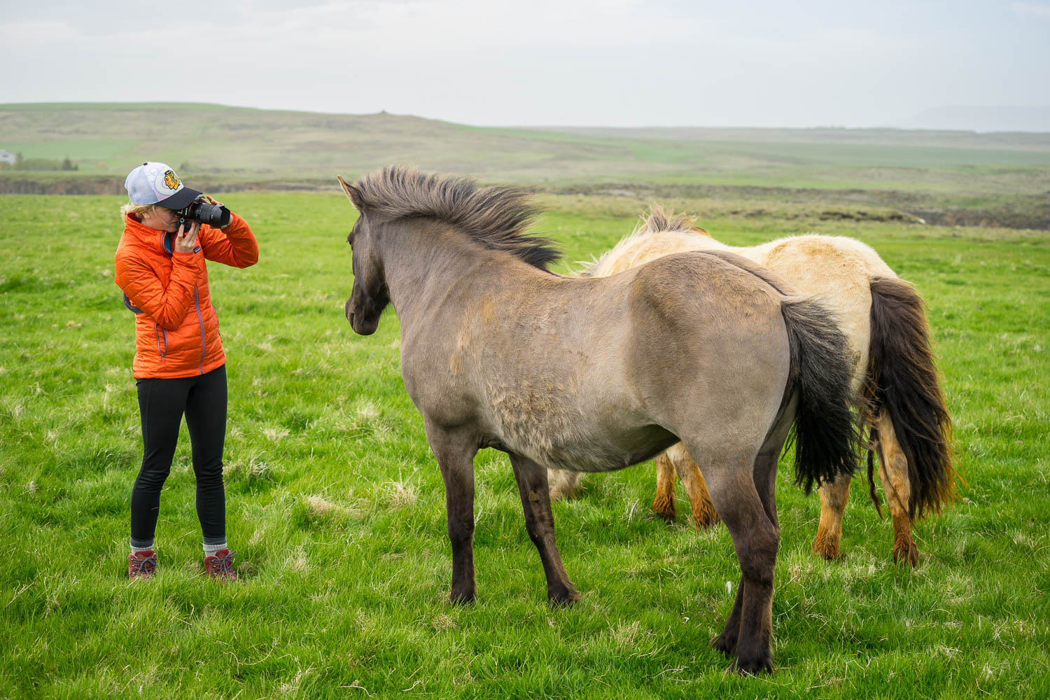 Icelandic-Horse-Iceland-Summer-Photo-Workshop