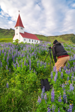 Iceland-Vik-Church-Lupines-Photo-Workshop-Adventure