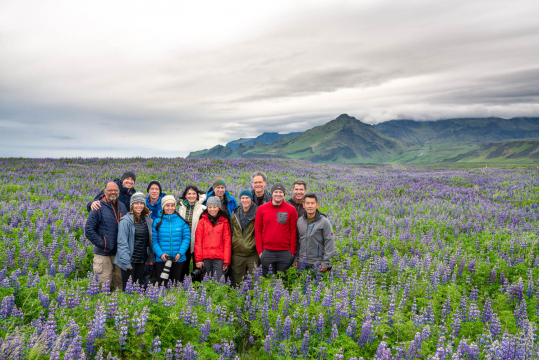 Lupine-Fields-Iceland-Photo-Workshop-Adventure