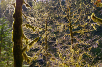 20150104_102929_HDR.jpg