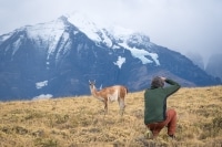 Guanaco-Torres-Del-Paine-Patagonia-Photo-Workshop