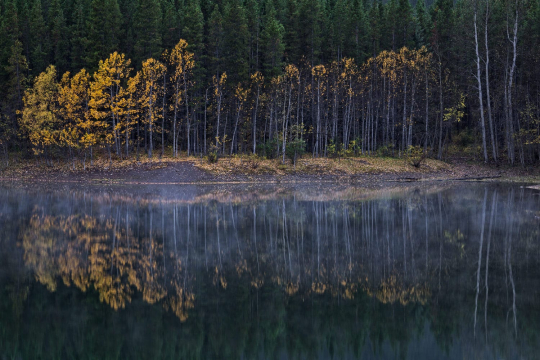 Fleeting Fall in Canadian Rockies Sony a6000.jpg