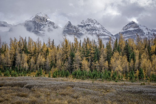 Valley of 10 Peaks Canadian Rockies Sony a6000.jpg