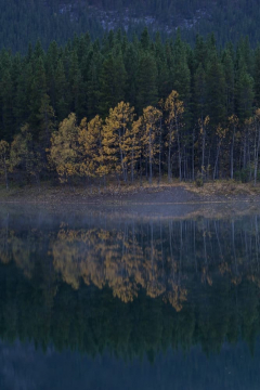 20140927_Canadian_Rockies_Fall_9051.jpg