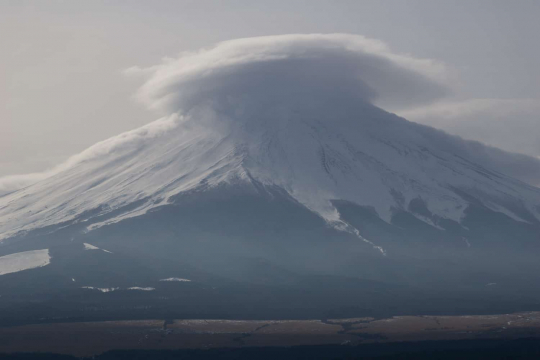 20150126_Japan_8723.jpg