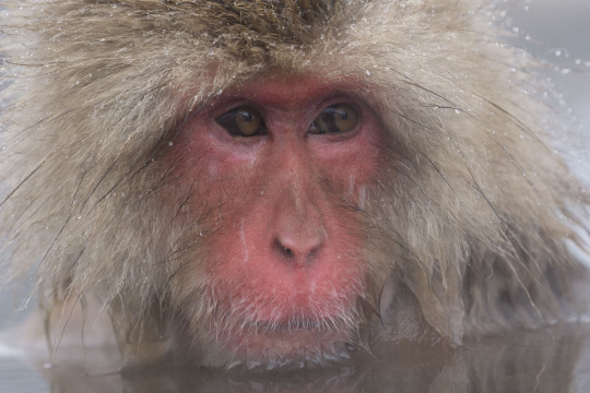 20150130_Japan_8841.jpg