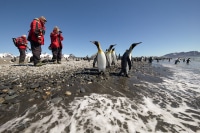 Photo-Workshop-Landing-South-Georgia-Island