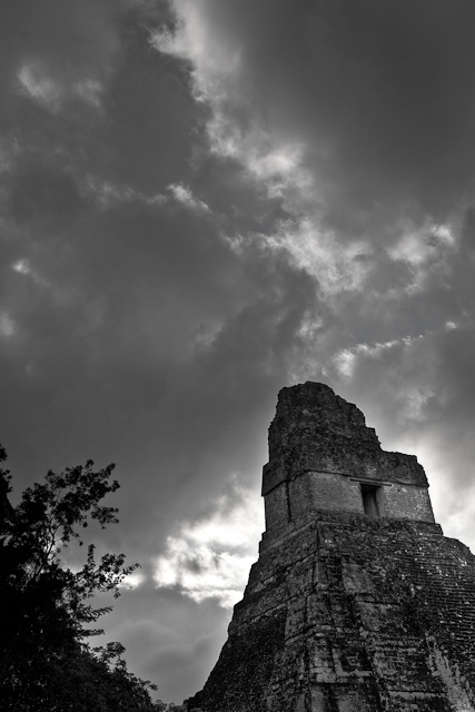 Temple Ruins in Tikal, Guatemala