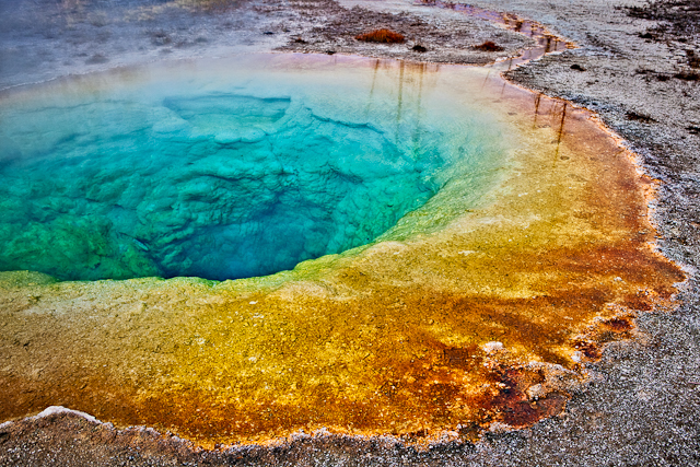 Morning Glory in Yellowstone National Park