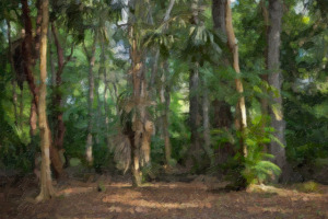 Image turned into a digital Oil Painting of Guatemalan forrest outside Tikal