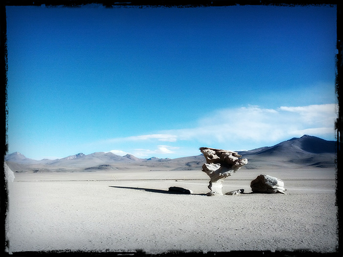 A rock that looks like a tree in  Eduardo Avaroa Andean Fauna National Reserve in Bolivia