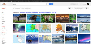 Google's Search Plus Your World Image Search Results