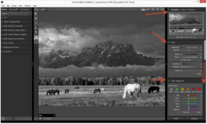 The right sidebar for global editing adjustments in Perfect BW