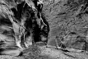 Orderville Canyon in the Narrow