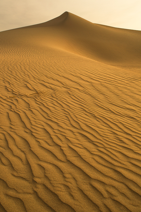 Sand Waves in Mesquite Sand Dunes in Death Valley National Park