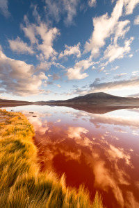 Reflected clouds over Laguna Colorada in Bolivia