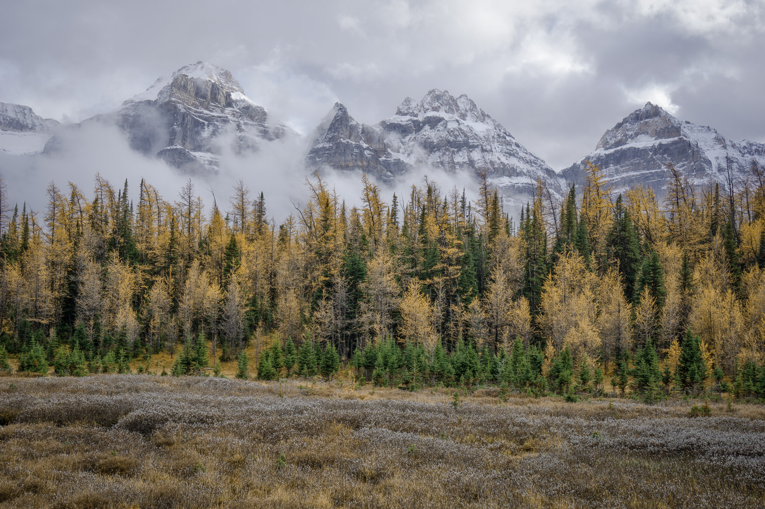 Canadian Rockies in Fall Sony a6000