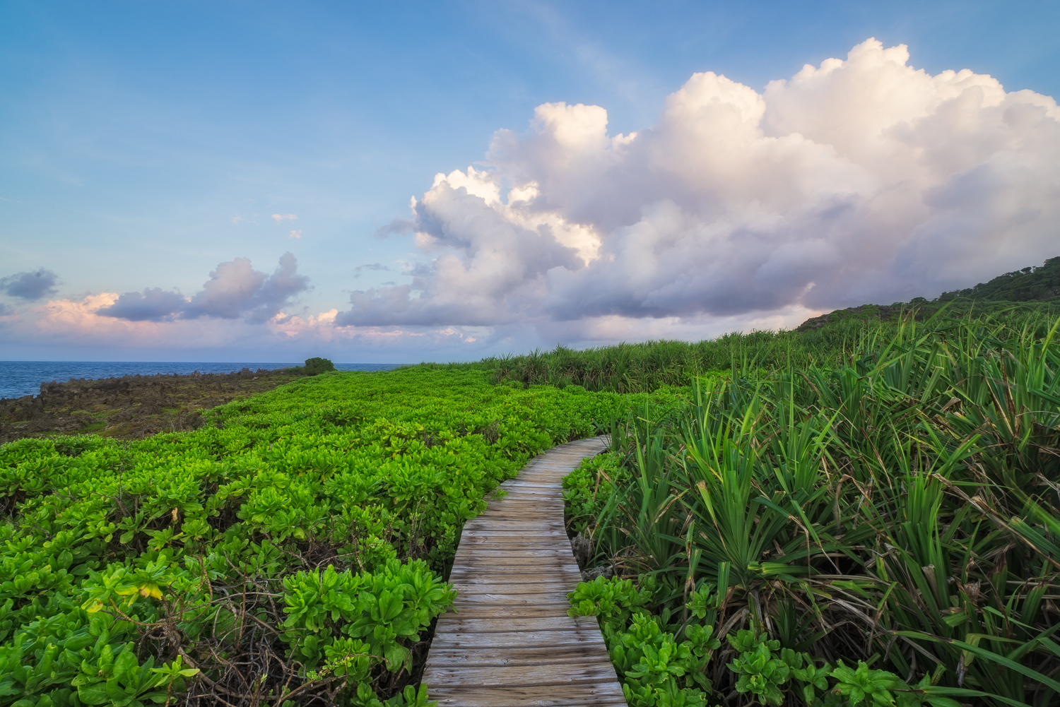 Boardwalk through Paradise