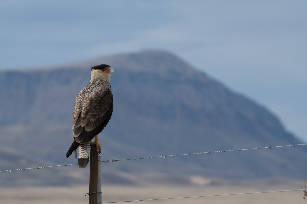 20160401_Argentina_Patagonia_1244