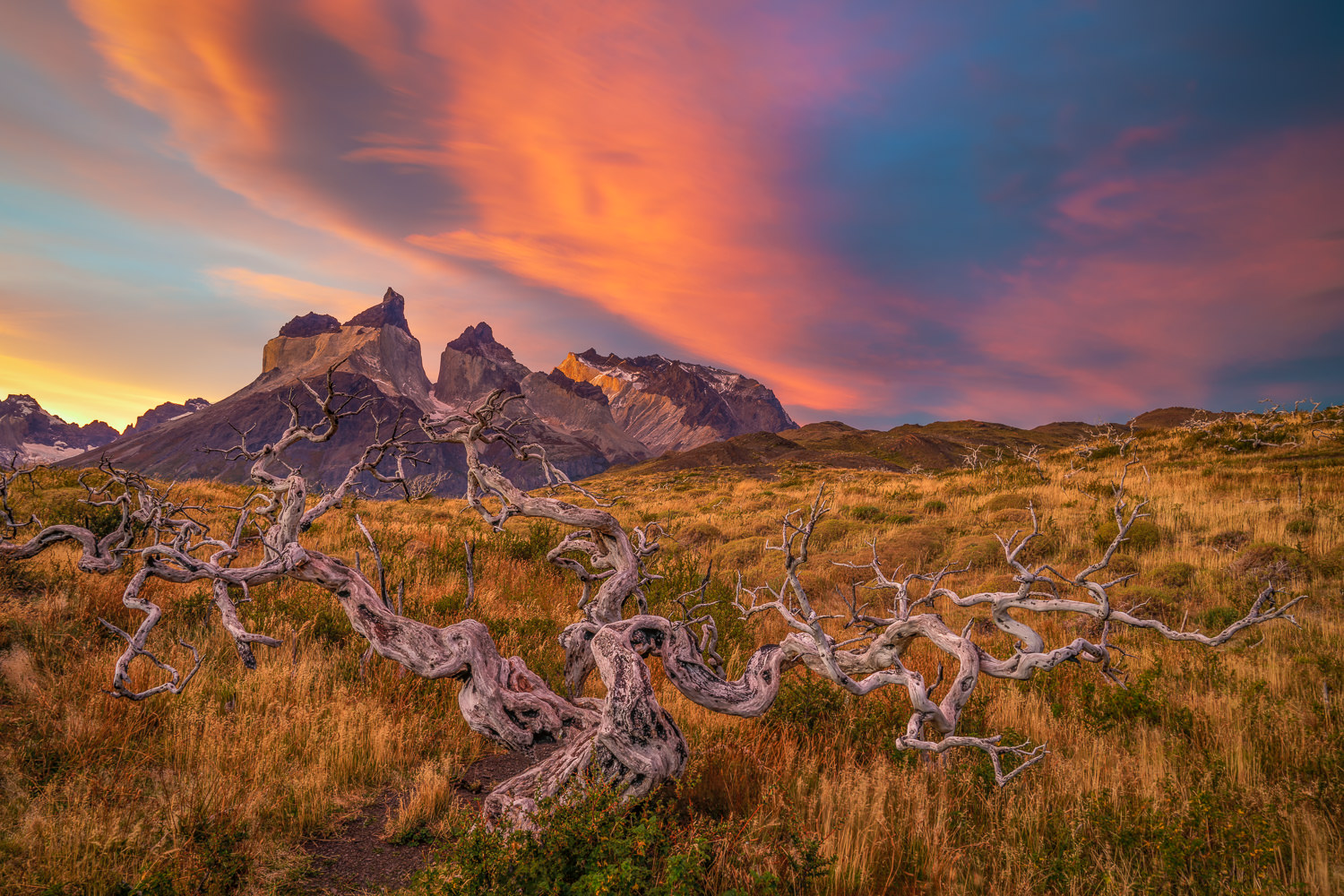 torres_del_paine_national_park_chile_patagonia_sunset_colby_brown