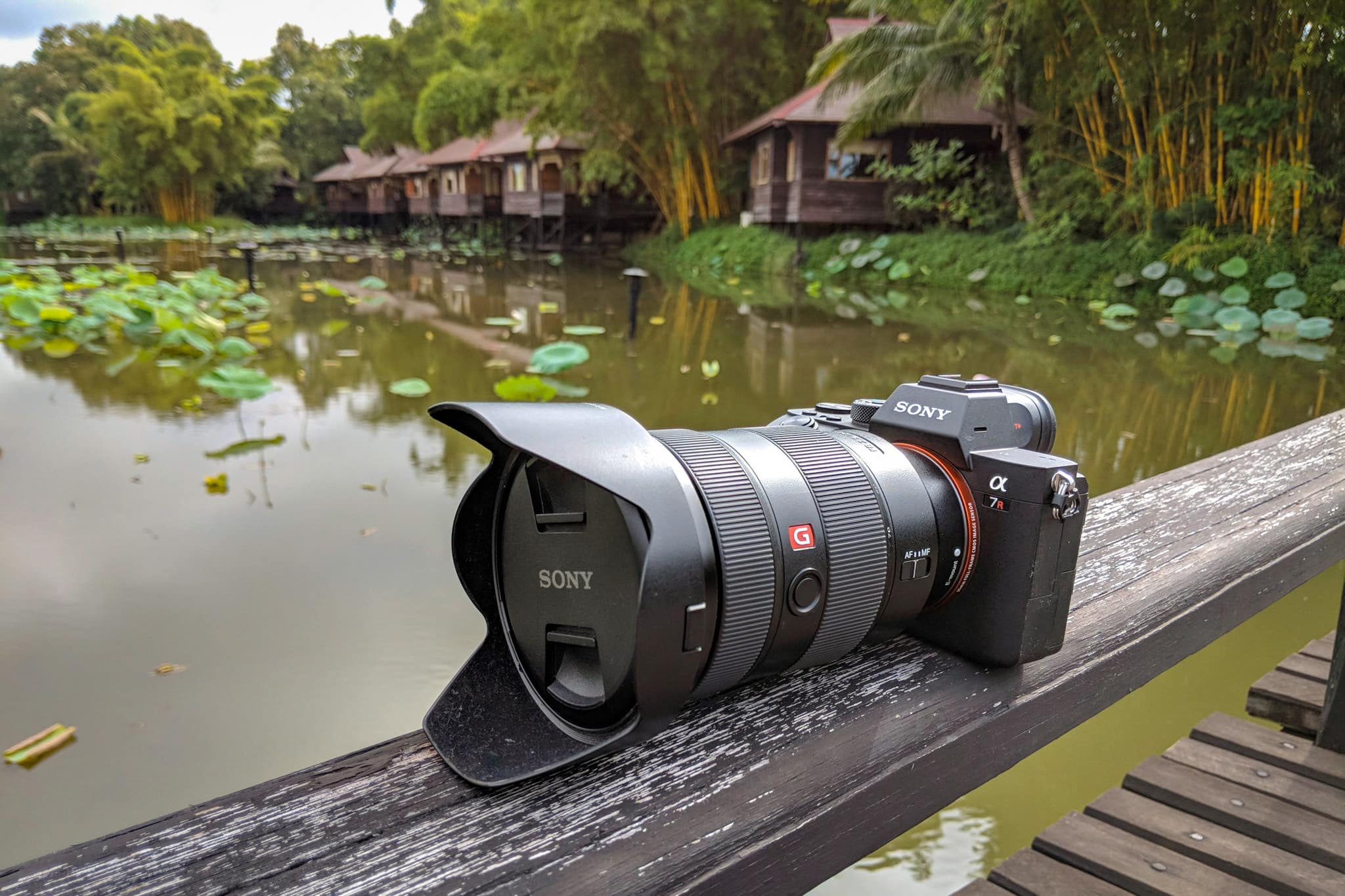 The Sony A7iii Super Aperture Priority Mode. What it is and how to