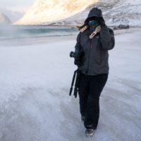 lofoten wildlife photo tour