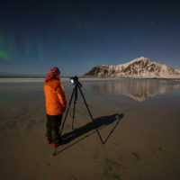 lofoten wildlife photo tour