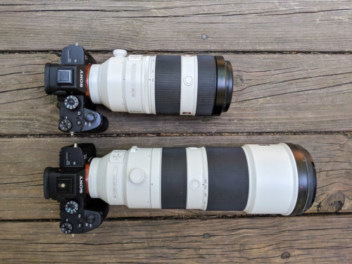 Sony 100-400 f/4.5-5.6 GM vs Sony 200-600 f/5.6-6.3 G Lens